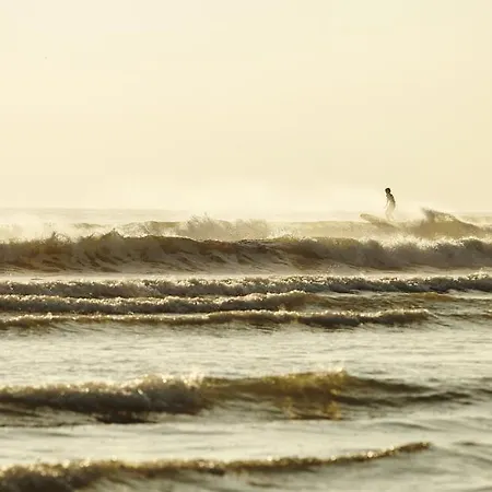 Nature Et Decouverte A Sur